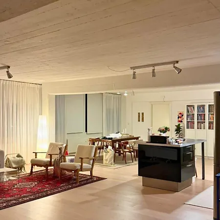 Luxury Penthouse In - 8 People Lejlighed Brondby