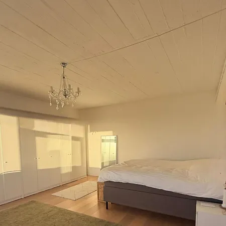 Luxury Penthouse In - 8 People * Brondby